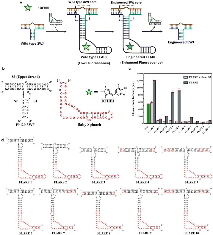 image file: d5ob01756d-f1.tif