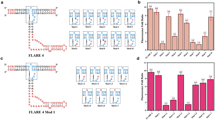 image file: d5ob01756d-f3.tif
