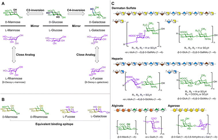image file: d5ob01778e-f2.tif