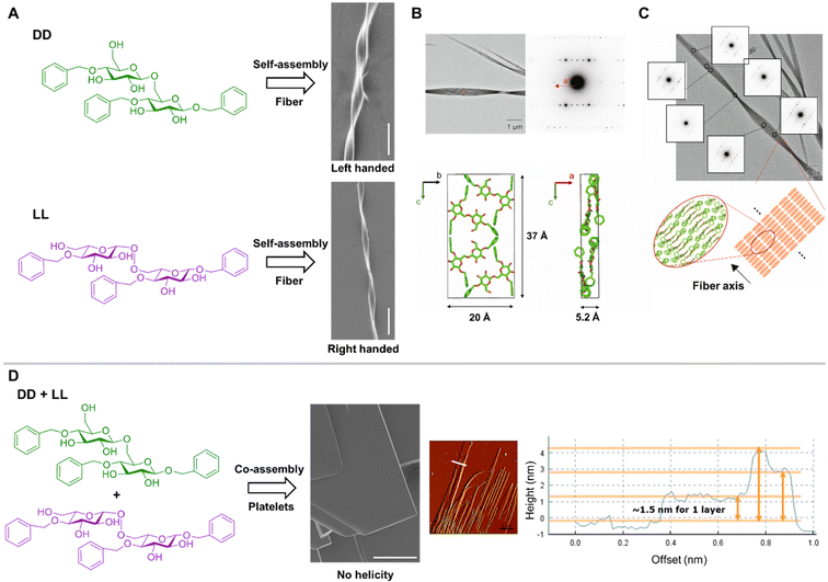 image file: d5ob01778e-f5.tif