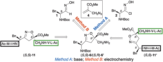 image file: d5ob01798j-s1.tif