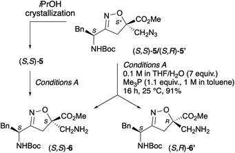 image file: d5ob01798j-s3.tif