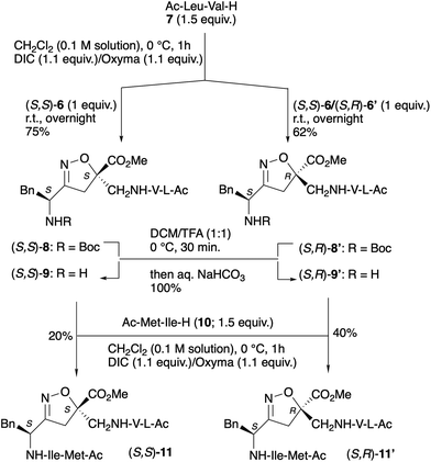 image file: d5ob01798j-s4.tif