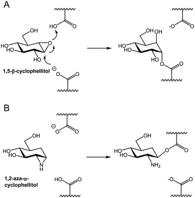 image file: d5ob01802a-f1.tif