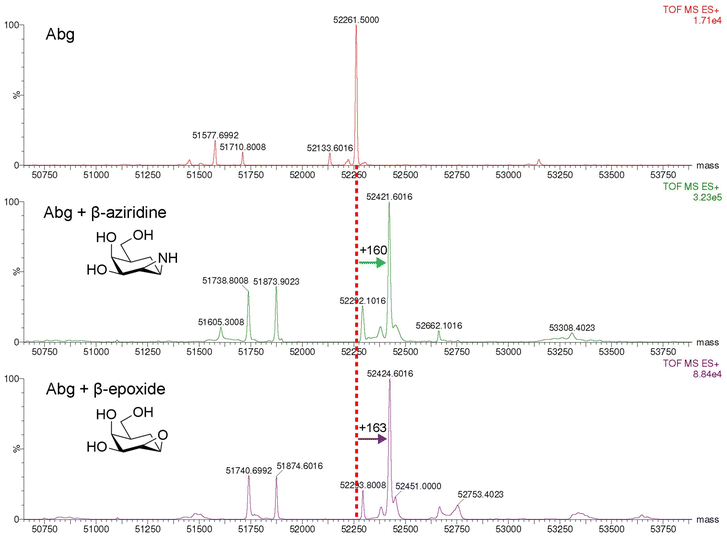 image file: d5ob01802a-f3.tif