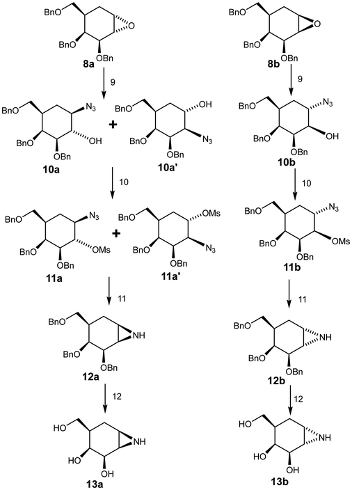 image file: d5ob01802a-s2.tif
