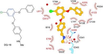 image file: d5ob01828e-f2.tif
