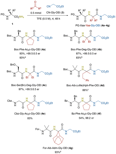 image file: d5ob01834j-s2.tif