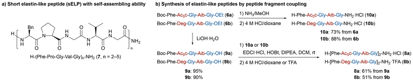 image file: d5ob01834j-s4.tif
