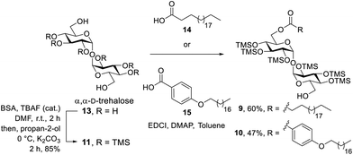 image file: d5ob01835h-s2.tif