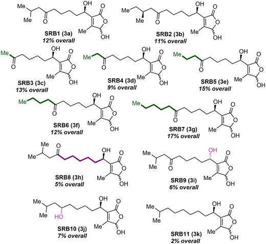 image file: d5ob01862e-f3.tif