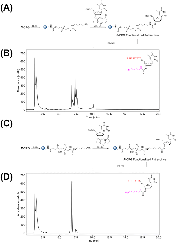 image file: d5ob01870f-f2.tif