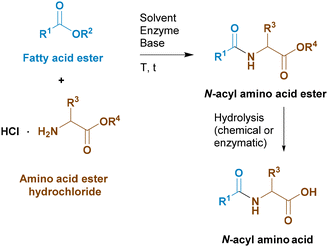 image file: d5ob01932j-s3.tif