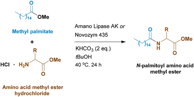 image file: d5ob01932j-s7.tif