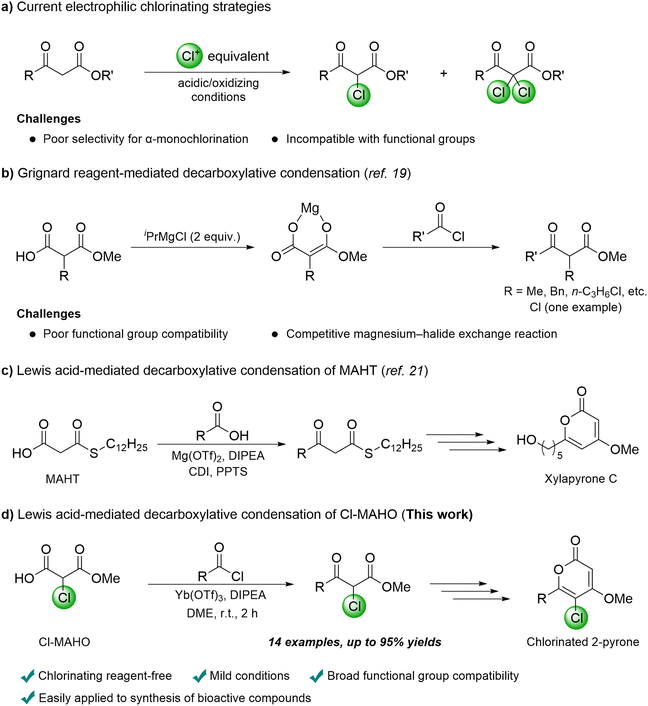 image file: d5ob01966d-s1.tif