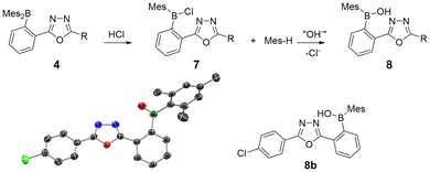 image file: d5ob01979f-f1.tif