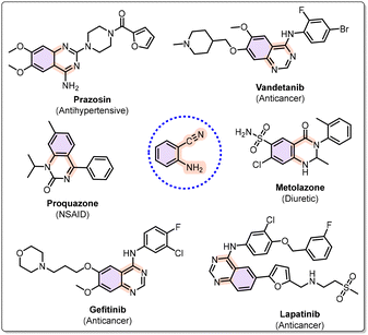 image file: d5ob01983d-f1.tif