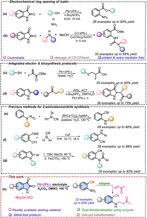 image file: d5ob01983d-s1.tif