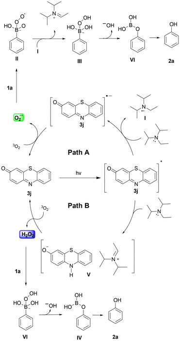 image file: d6ob00133e-s5.tif