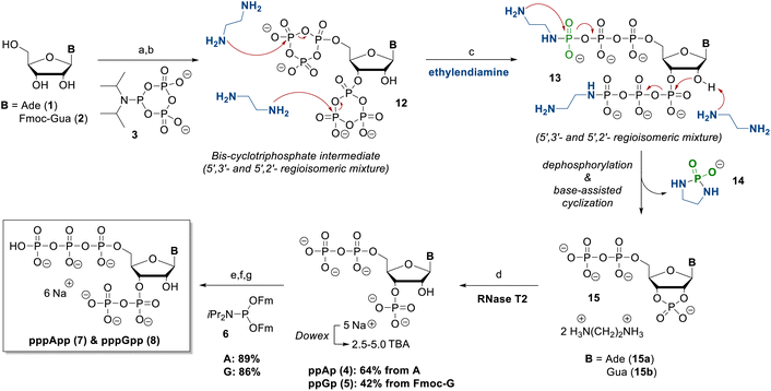 image file: d6ob00328a-s2.tif