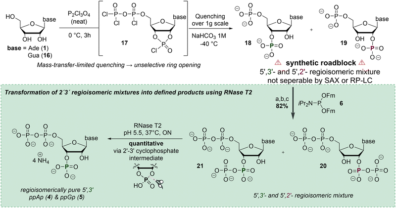 image file: d6ob00328a-s3.tif