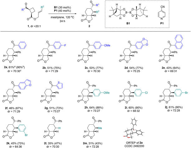 image file: d6ob90044e-s2.tif