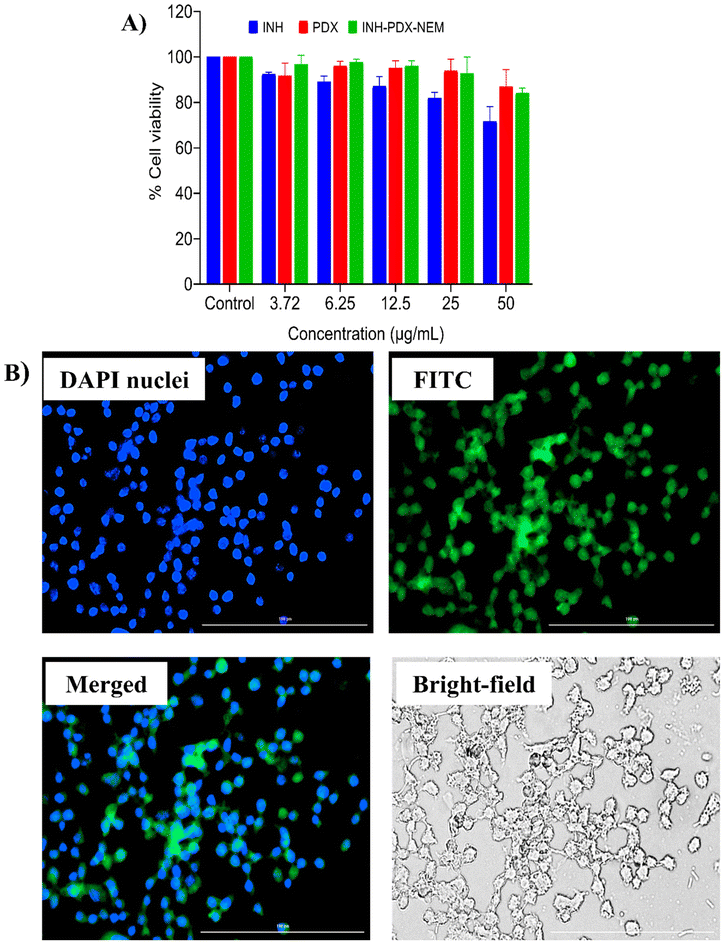 image file: d5pm00118h-f5.tif