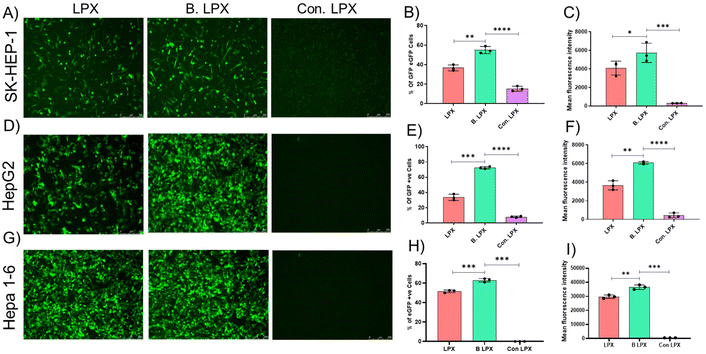 image file: d5pm00135h-f3.tif