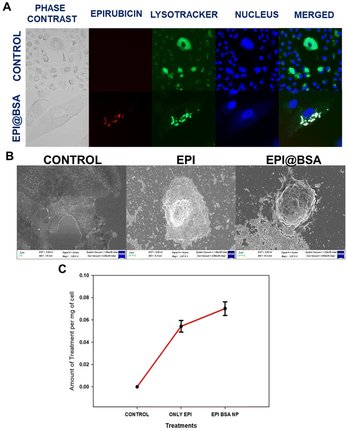image file: d5pm00136f-f3.tif