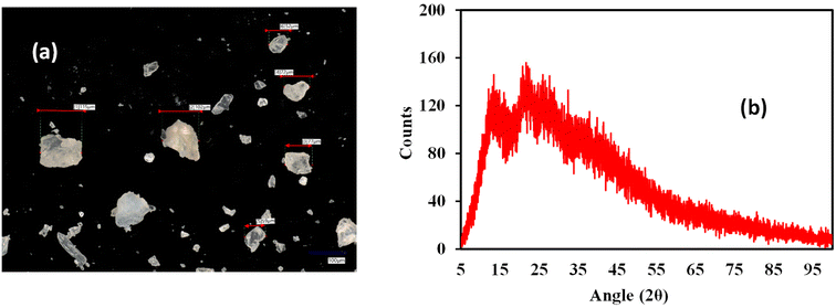 image file: d5pm00138b-f2.tif