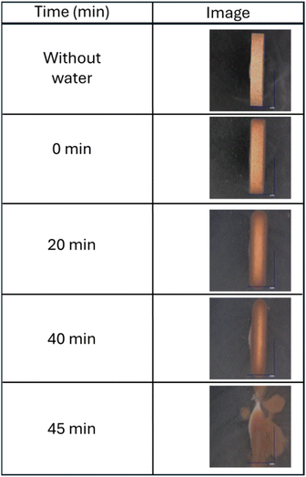 image file: d5pm00138b-f6.tif