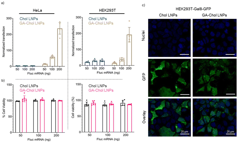 image file: d5pm00166h-f2.tif