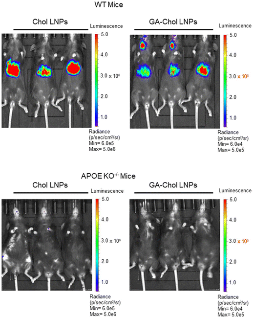 image file: d5pm00166h-f4.tif