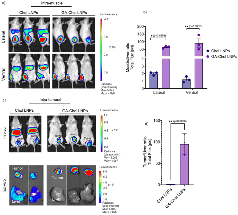 image file: d5pm00166h-f5.tif