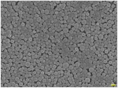 image file: d5pm00168d-f1.tif