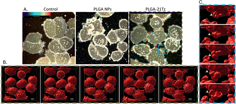 image file: d5pm00168d-f6.tif