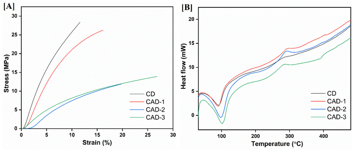 image file: d5pm00172b-f4.tif