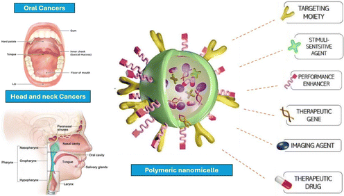 image file: d5pm00179j-f3.tif