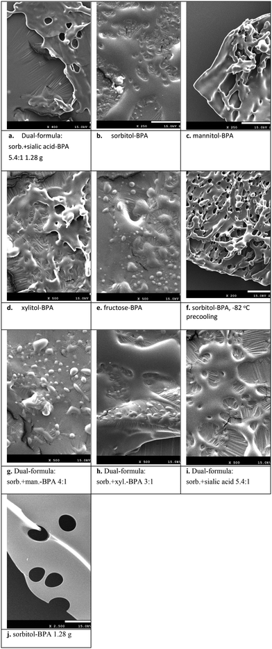 image file: d5pm00180c-f10.tif