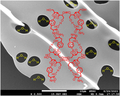 image file: d5pm00180c-f11.tif