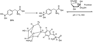 image file: d5pm00180c-f3.tif