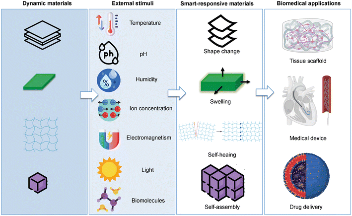 image file: d5pm00192g-f10.tif