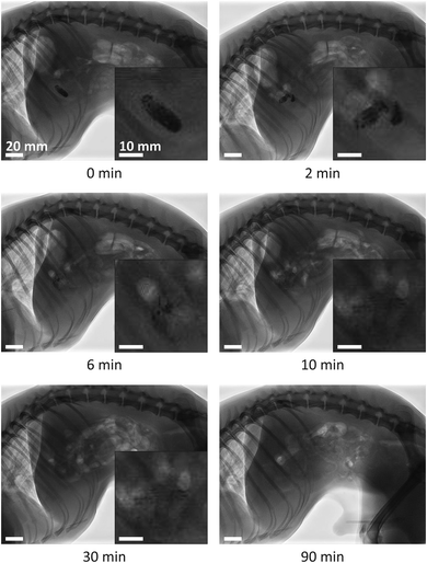 image file: d5pm00195a-f14.tif