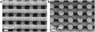 image file: d5pm00195a-f2.tif