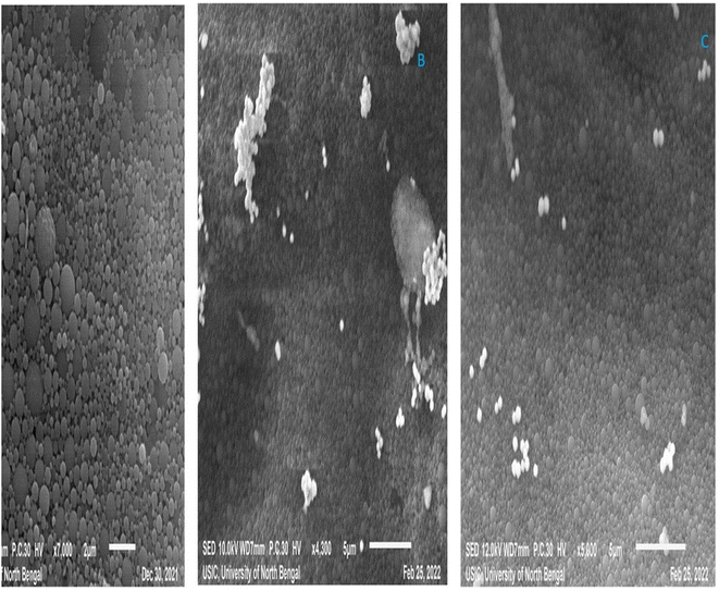 image file: d5pm00196j-f4.tif