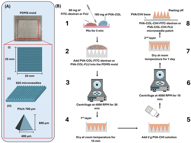 image file: d5pm00203f-f1.tif