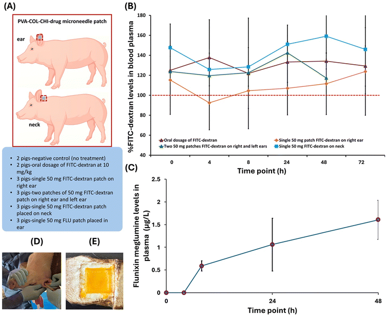 image file: d5pm00203f-f3.tif