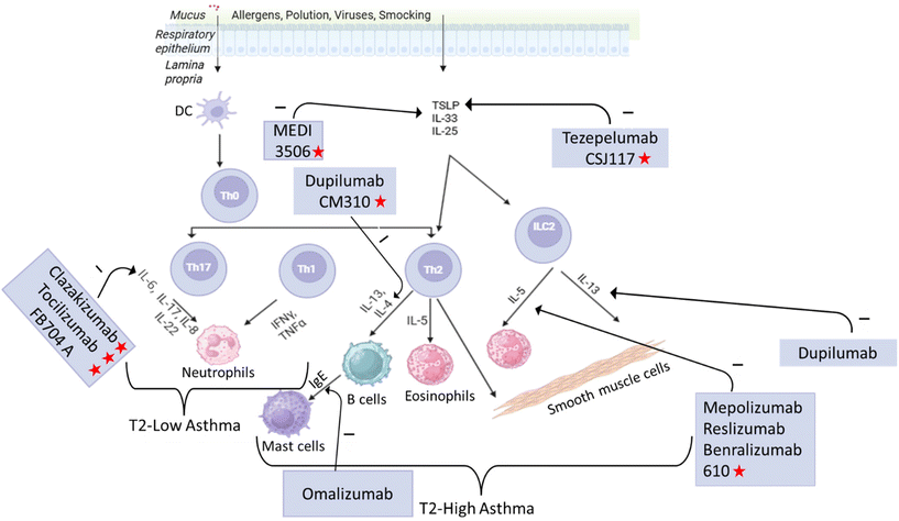 image file: d5pm00230c-f2.tif