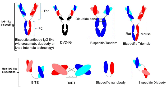 image file: d5pm00230c-f3.tif
