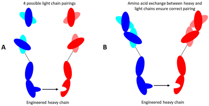 image file: d5pm00230c-f4.tif